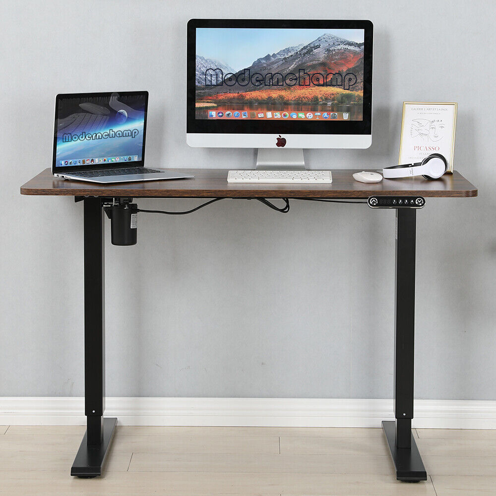 48" Electric Standing Desk | Height Adjustable Desk